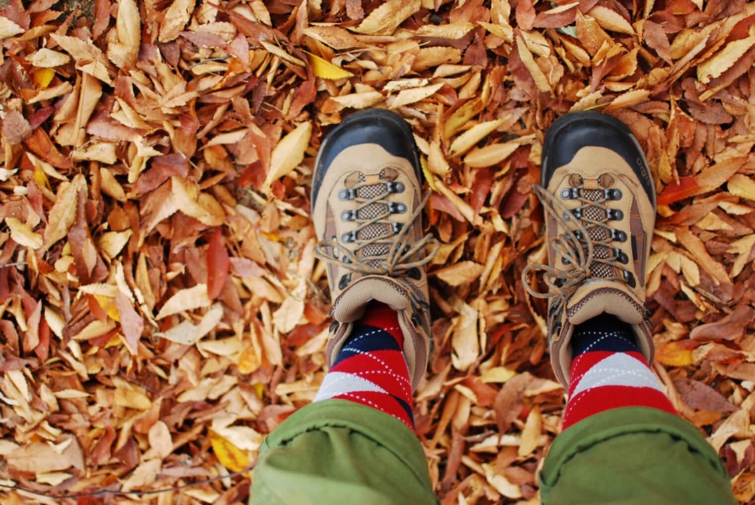 使った後の登山靴はどうするのがベスト？メンテナンスと保管方法とは