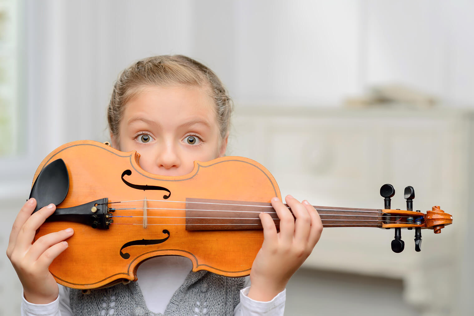バイオリン保管方法